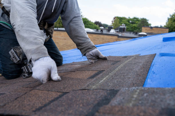 Best Gutter Installation and Roofing  in Sloan, NY
