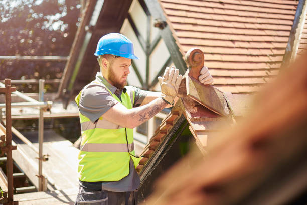 Best Roof Gutter Cleaning  in Sloan, NY