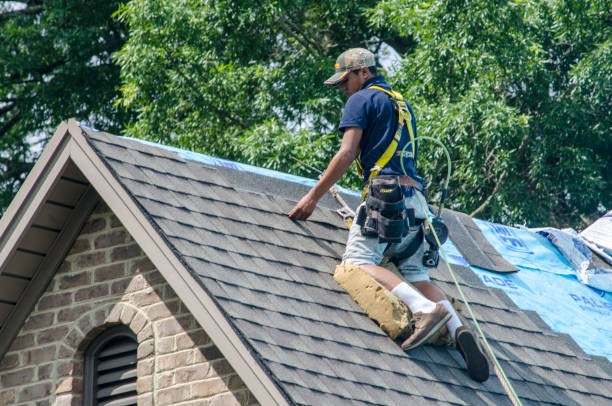 Best Storm Damage Roof Repair  in Sloan, NY